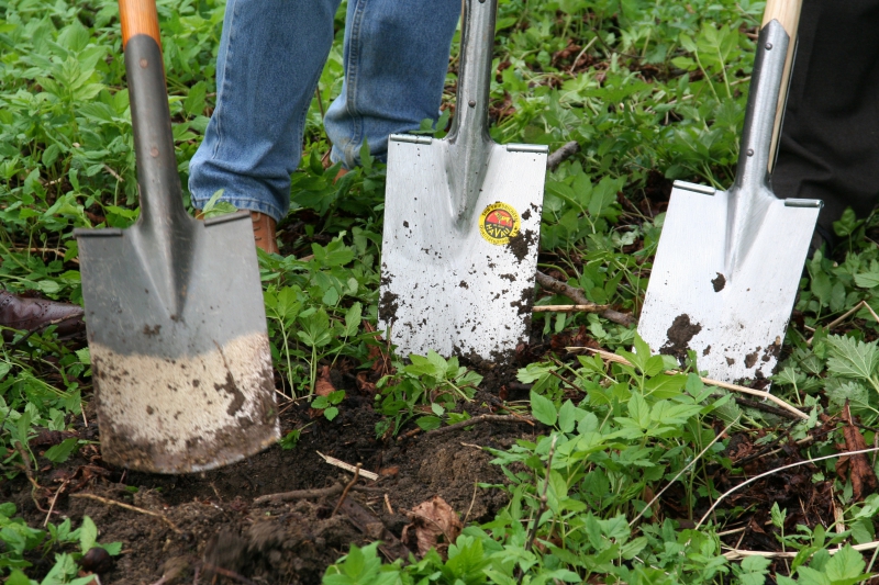 pepiniere-CHATEAUVERT-min_work-lawn-flower-tool-green-backyard-1103633-pxhere.com